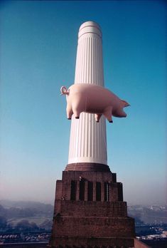 a large pig statue sitting on top of a tall pillar next to a sky background