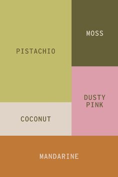 the color scheme for different types of food