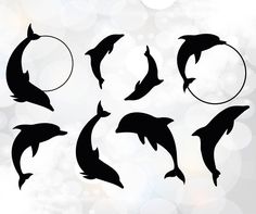 the silhouettes of dolphins in different positions