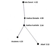 a line graph showing the number of people in australia