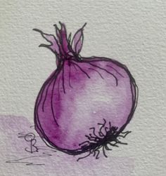 a drawing of a purple onion on white paper