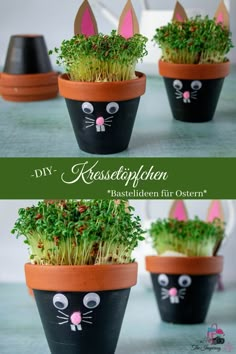 three pots with plants in the shape of cats'heads and grass growing out of them