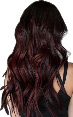 Black Hair With Red, Dark Red Highlights, Reddish Brown Hair Color, Copper Brown Hair Color, Brown Hair Ideas, Beer For Hair, Brown Hair Color Shades, Cinnamon Hair