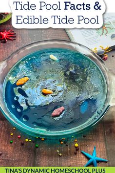 a bowl filled with blue liquid next to starfish and other items on a wooden table