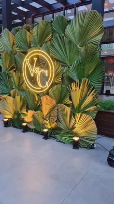 an outdoor area with plants and lights on the side of the building that says v is for v