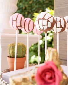 three lollipops sitting on top of a table next to a potted plant