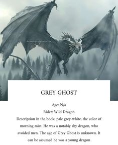 a book with an image of a dragon flying in the sky and text that reads grey ghost