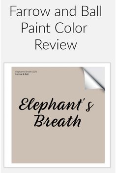 an elephant's breath book with the title farrow and ball paint color review