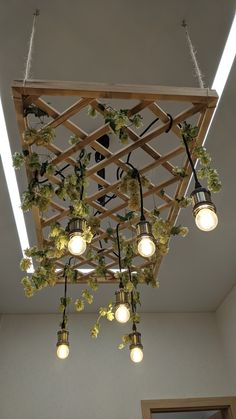 a bunch of lights that are hanging from a wooden structure with plants growing on it