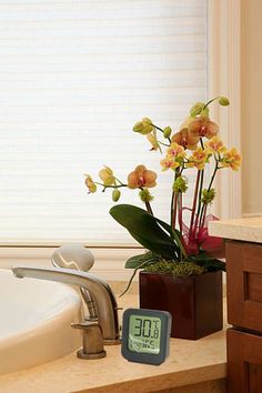 an alarm clock sitting on top of a counter next to a bathtub with flowers in it