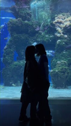 two people standing in front of an aquarium