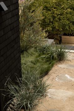 a bench sitting in the middle of a garden next to some bushes and grass on either side of it