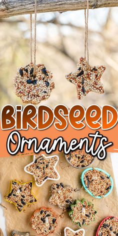 birdseed ornaments hanging from a tree branch with text overlay that reads bird seed ornaments