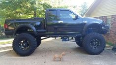 a large black truck parked in front of a house next to a small brown dog