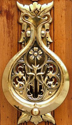 an ornate brass door handle on a wooden door