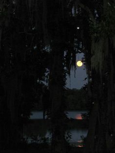 the full moon is seen through some trees in front of a body of water at night