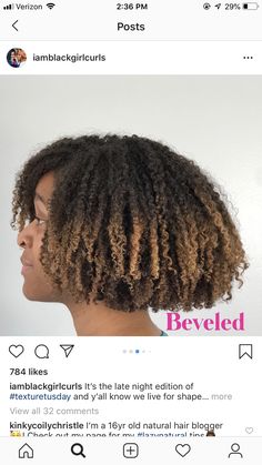 Hip Length Natural Hair, Tapered Wash And Go Natural Hair, Light Brown Tapered Natural Hair, Waist Length Afro Hair, Naturally Curly Bob, Hair Regimen, Haircut Inspiration, Dyed Natural Hair