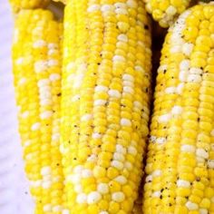 corn on the cob with yellow and white kernels in close - up view