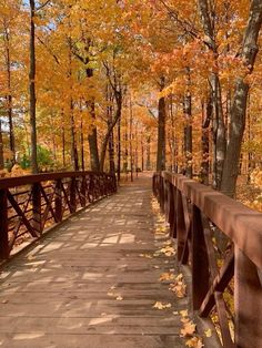 a wooden bridge surrounded by trees with fall leaves on the ground and in the foreground