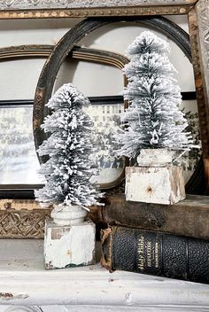 two fake trees sitting on top of a table next to an old bookshelf