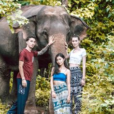 three people standing in front of an elephant