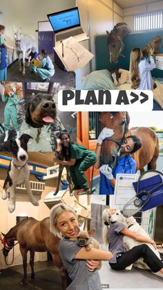 Equine Vet Tech Aesthetic, Equine Veterinary Aesthetic, Vet Job Aesthetic, Equine Veterinarian Aesthetic, Equine Vet Aesthetic, Veterinary Aesthetic, Aesthetic Vet, Equine Vet Tech, Equestrian Wishlist