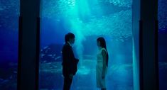 two people standing in front of an aquarium