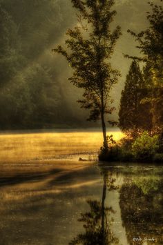 a lake with trees and fog in the background