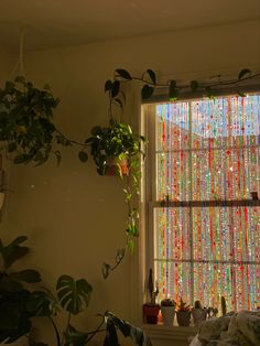 some plants are sitting in front of a window with colorful lights on the windowsill