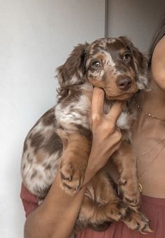 a woman holding a dog in her arms