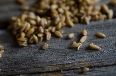 some seeds are laying on a wooden surface