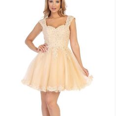 A Line Homecoming Dress With Embroidered Bodice, Embroidered Lace Trim On Tulle Skirt & Straps Plus A Sweet Heart Neckline And A Lace Up Corset Back. Size Large New Without Tags / Never Worn Color: Champagne Prom Mini Dress With Lace Trim And Sweetheart Neckline, Homecoming Corset Dress With Lace-up Back And Sweetheart Neckline, Flirty Mini-length Corset Dress With Lace Trim, Scalloped V-neck Corded Lace Bodice A-line Dress, Corset Dress Lace Needle & Thread, Windsor Dresses, Embroidered Bodice, Embroidered Lace, Sweetheart Neckline