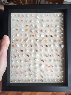 a person holding up a frame with sea shells on the bottom and sides, in front of a wooden table