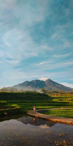 a man riding a bike down a dirt road next to a lush green field under a blue sky