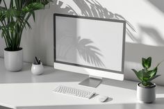 a computer monitor sitting on top of a desk next to a potted palm tree