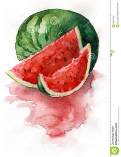 watermelon with slices on white background