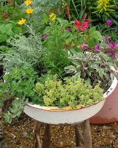 a garden filled with lots of different types of plants