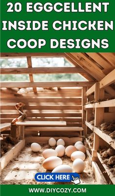 chickens in their coop with the words 20 eggcelent inside chicken coop designs