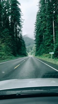 a car driving down a road next to tall trees