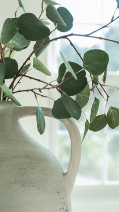 a white vase filled with green leaves on top of a table next to a window