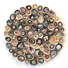 a circular sculpture made out of shells on a white surface