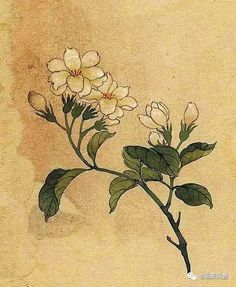 a painting of white flowers with green leaves