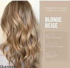 Balayage Toner Formula, Balayage Formulas, Brown Hair Shades, Beige Hair, Grey Hair Inspiration, Hair Tint