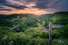 there are many signs on the hill pointing to different places in the world that you can see