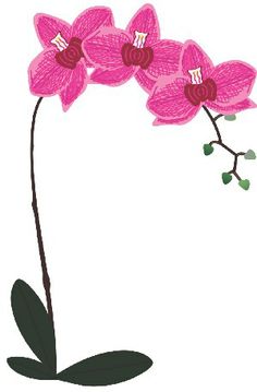 pink flowers with green leaves on a white background