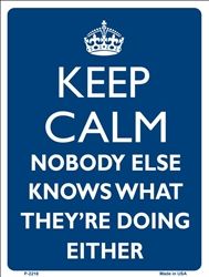 a blue keep calm sign with the words nobody else knows what they're doing either