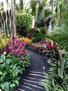 a garden filled with lots of different types of flowers and plants next to each other