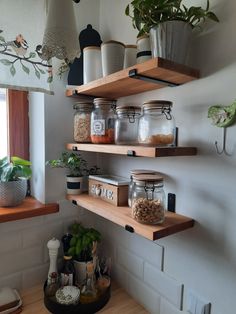 some shelves with jars and plants on them