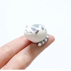 a tiny white and black cat sitting on top of a finger