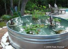 a large metal tub filled with water lilies next to a park bench and tree